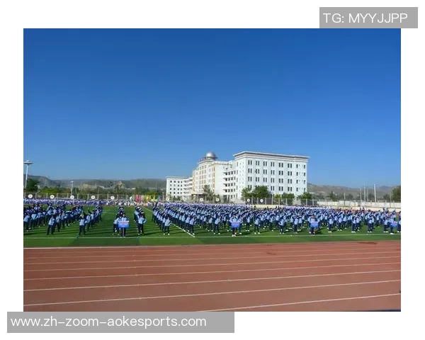 足球佘青：探索足球背后的青春故事与激情梦想